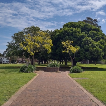 Terry Lamb Reserve, Belmore, with a path centre frame leading into the distance and trees and shrubs to the left and right hiding its ending point