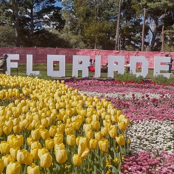 Floriade The Sign, Commonwealth Park, with the word 'floriade' in two-metre tall letters behand a flower bed full of yellow tulips and pink and white daisies