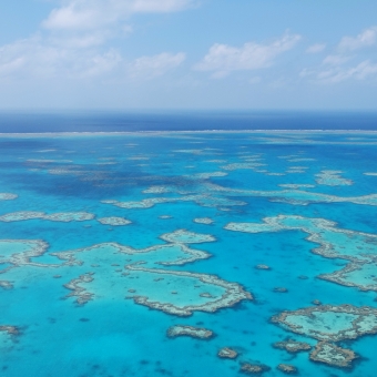 The Patchwork Reef, with an aerial view of many different shaped submerged coral