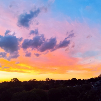 Dusk's Glow, Dulwich Hill, with streaked clouds glowing yellow and orange and red, with tiny bat silhouettes against the sky