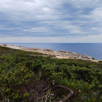 Neapolitan Nature, Boora Point Trail, with five layers of colours in frame, with green shrubbery at the bottom, with yellow rocks above the shrubbery, with blue ocean above the rocks, with baby blue sky above the ocean, with blue-grey clouds above the horizon