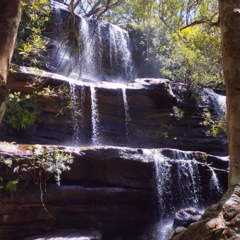 Cascading Pleasantness, Uloola Falls, Royal National Park, with a three-layered waterfall over rocks bordered by two trees in the foreground