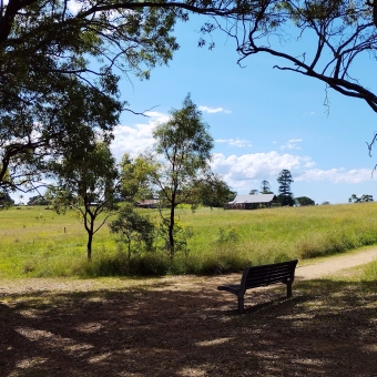 An Historic View, Rouse Hill Regional Park, Rouse Hill, with a bench surrounded by trees in the foregrounds and farm houses up on the hill in the background
