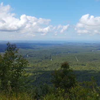 A Plains View, Watagans National Park, with green trees across a flat plain as far as the eye can see all viewed from a height