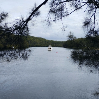 At Anchorage, near Cattle Duffers Flat Picnic Area, Picnic Point, with an medium-sized enclosed personal boat on blue-grey water which is framed by spiky frons of a tree in the foreground