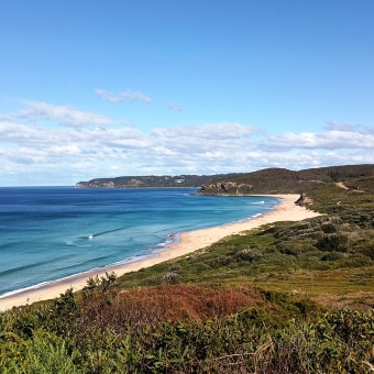 Coastal Auspice, Hickson Beach, Mereweather, with a stereotypical view over a beach arcing into the distance which has dunes covered in shrubs and trees extending to the right