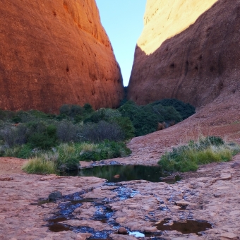 Kata Tjuṯa, Walpa Gorge, with a high rock face to the left and right, with shrubbery ahead, with a small trickling creek coming forward out of the shrubs