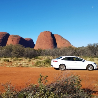 Kata Tjuṯa, From The Road, with a parked white Toyota Corolla on the road, with the three main heads of the rock formation in the background behind trees