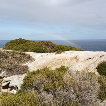 Rainbowed Ocean, Williams Park, North Bondi, with a rainbow arcing behind sandstone cliffs lightly covered in scrub, with the ocean in the distance
